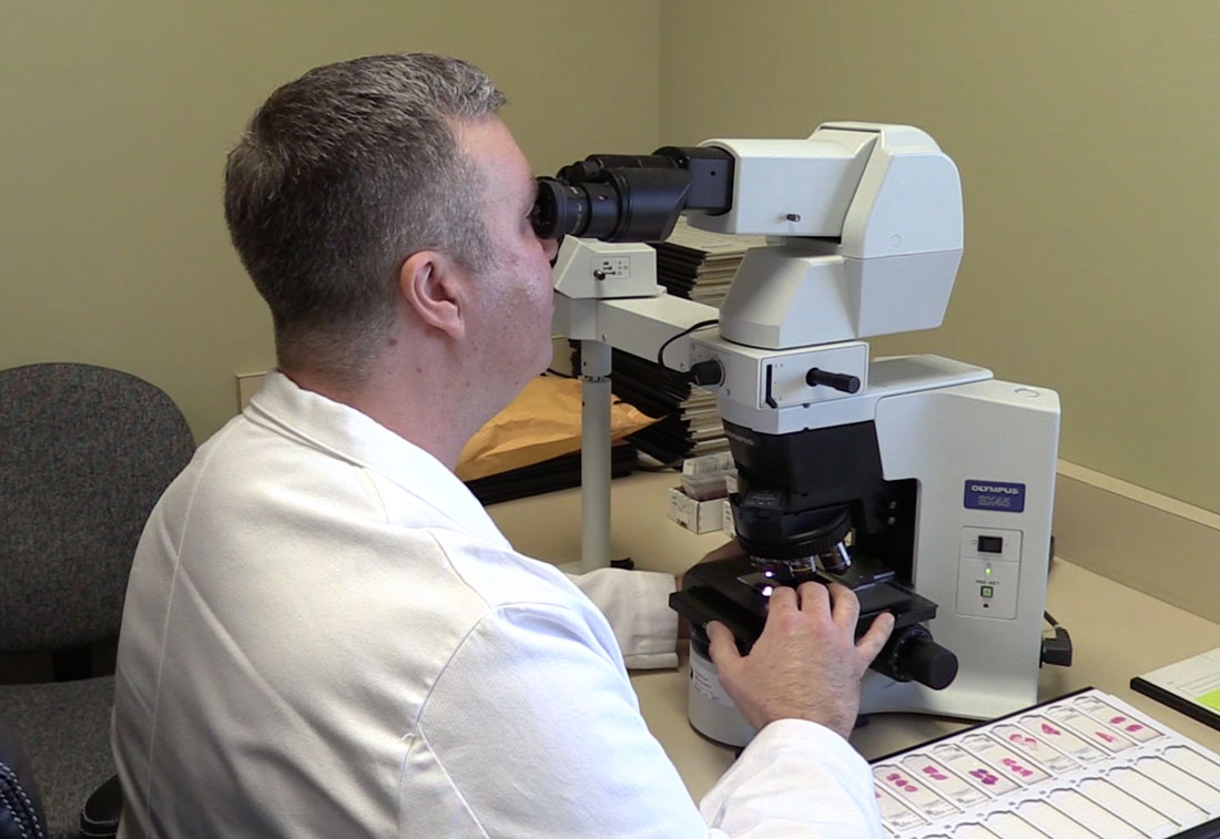 A day in the life of a Chicago Medical Examiner Medill Reports Chicago